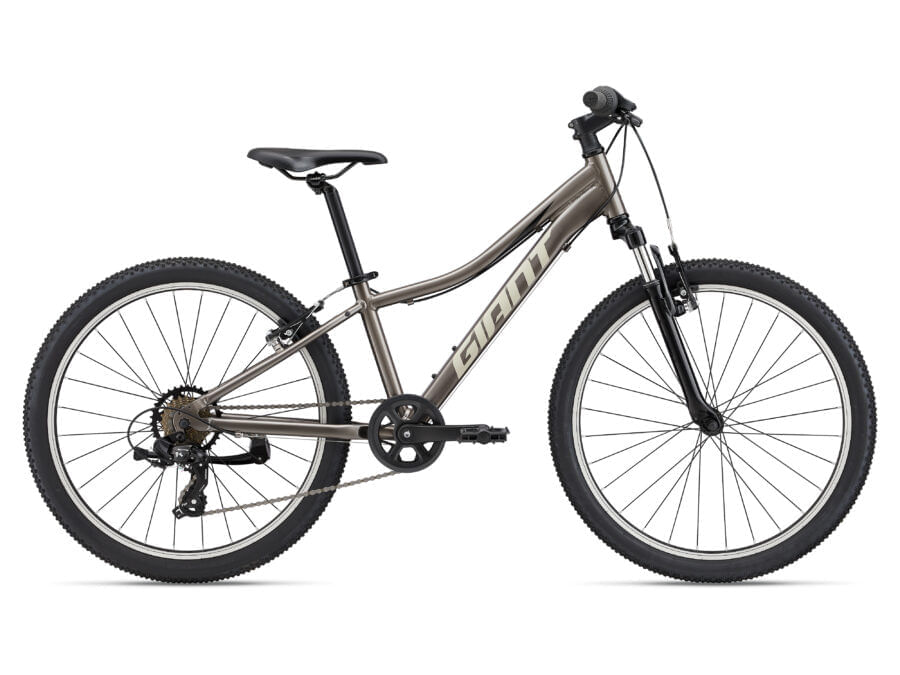 Bicicleta Giant XTC Jr 24 23