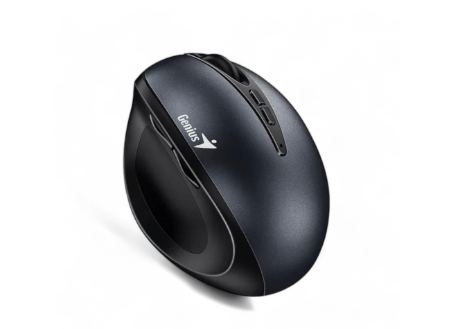 Mouse Genius Ergo 8300S GRIS