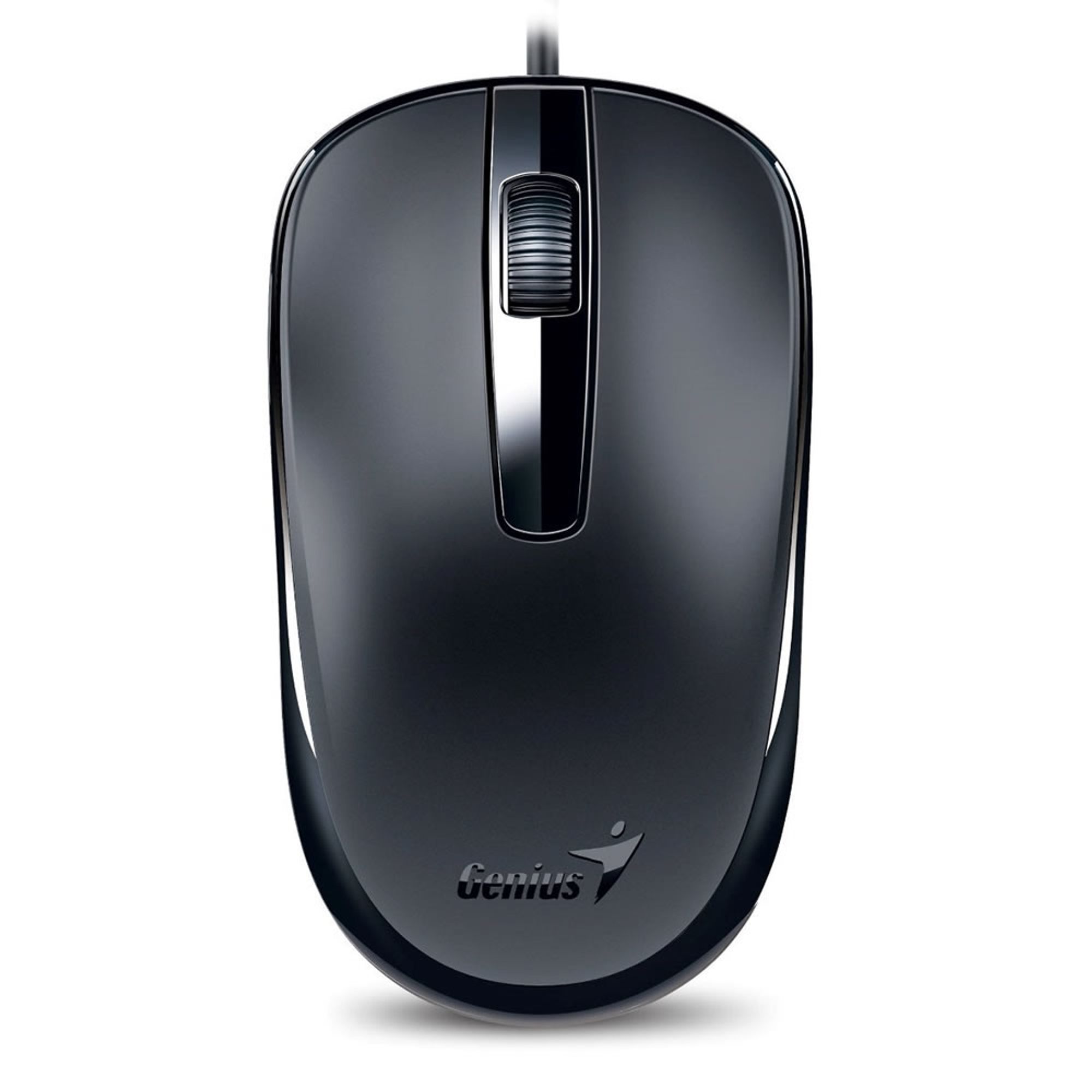 Genius Mouse DX-120 USB Negro
