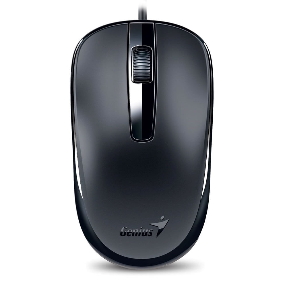 Genius Mouse DX-120 USB Negro